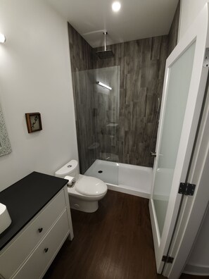 Ensemble baignoire-douche, séchoir à cheveux, serviettes fournies