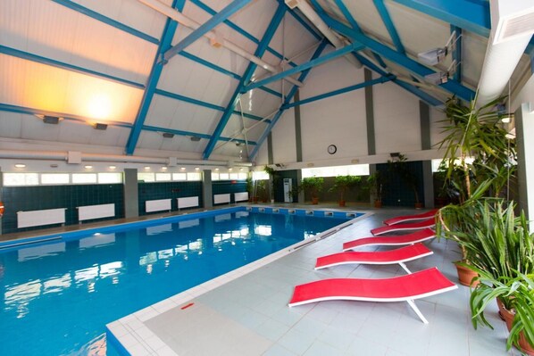 An indoor swimming pool with a high ceiling and blue beams, surrounded by red lounge chairs and potted plants. - Geovita Zlockie (Muszyna)