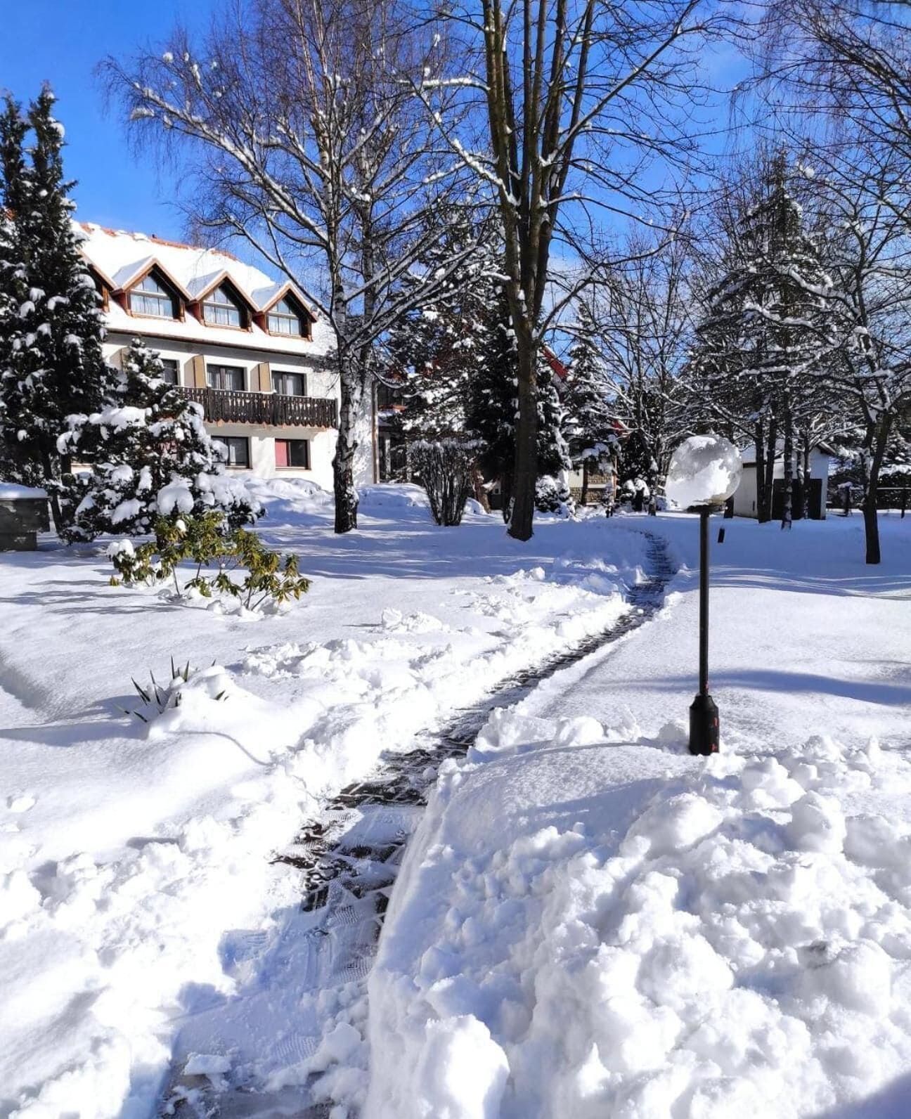 المنطقة المحيطة بالمنشأة