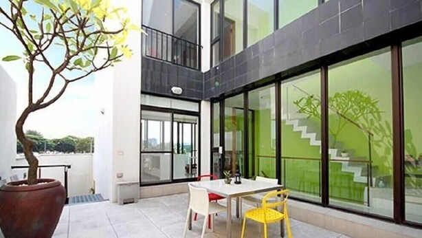 Un patio exterior moderno con una mesa, sillas, ventanas amplias y un árbol en maceta.