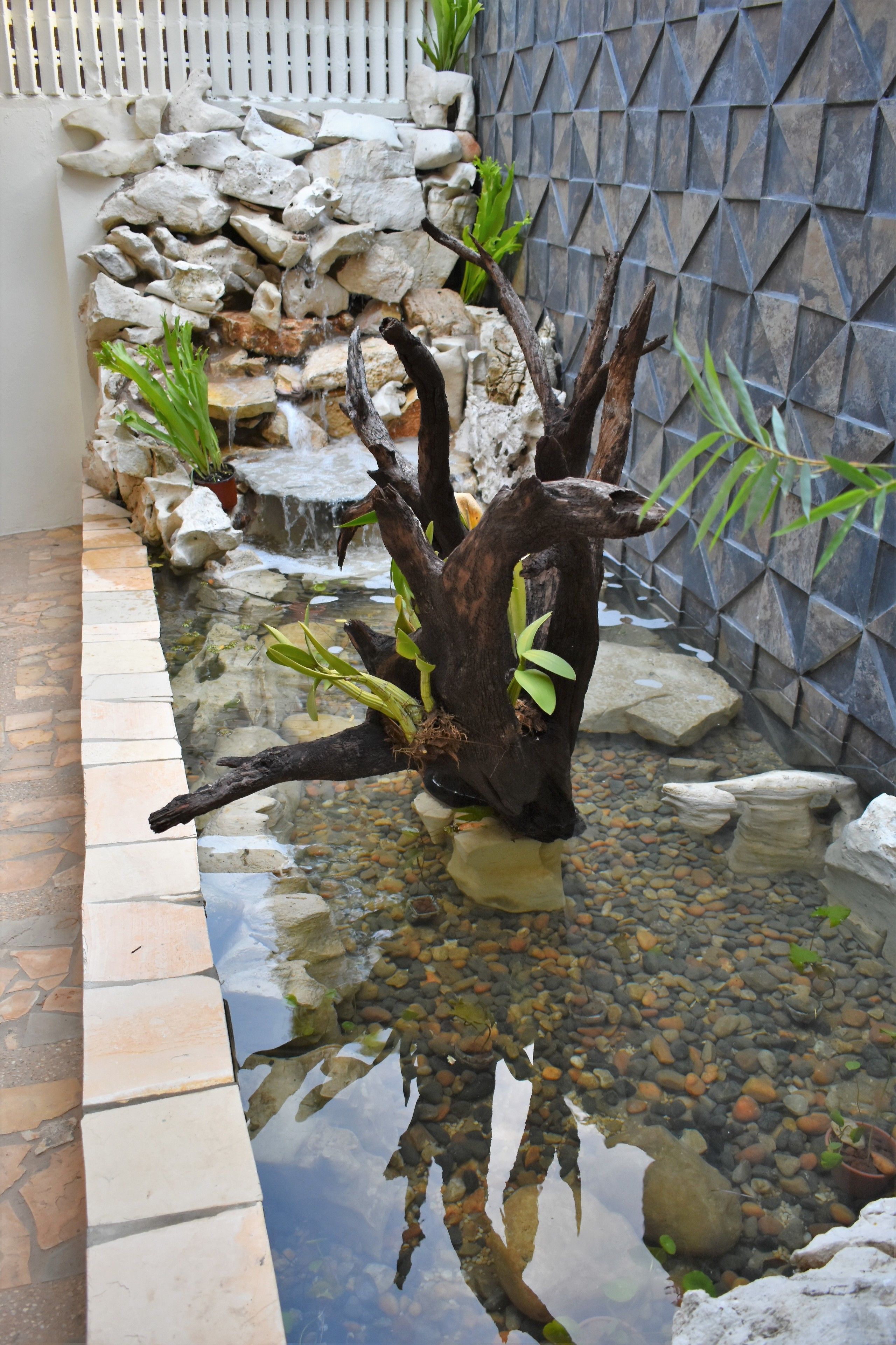 Photo - Casa Janaab Palenque