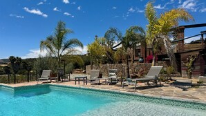 A pool area with clear blue water, surrounded by lounge chairs and palm trees. - Rancho Cien Piedras (Valle de Guadalupe)