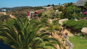 A residential area with houses, a stone wall, and a variety of vegetation including palm trees. - Rancho Cien Piedras (Valle de Guadalupe)