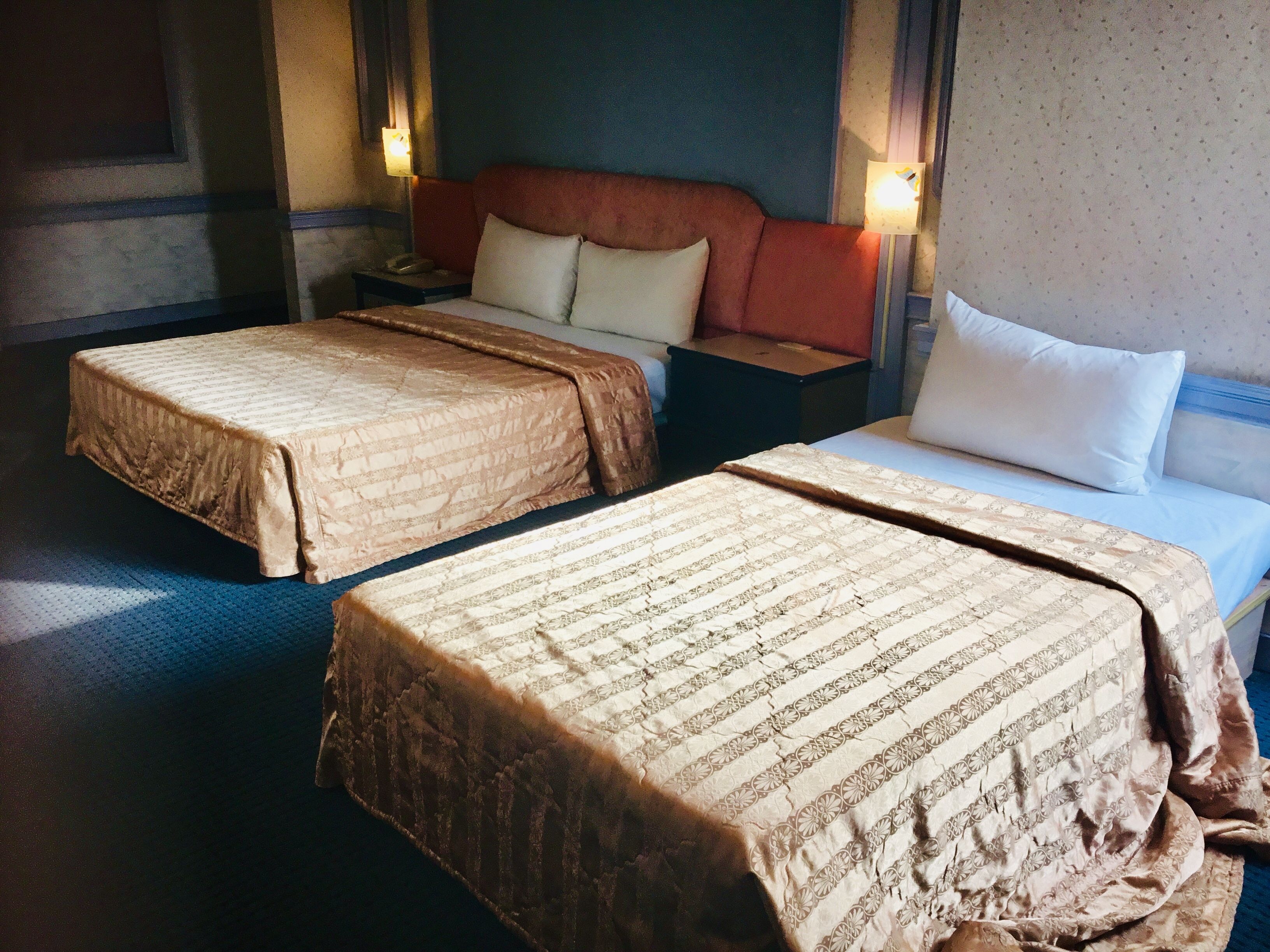 Een hotelkamer met twee eenpersoonsbedden, elk met een bedovertrek en kussens met een patroon. Er staan nachtkastjes met lampen en een nachtkastje met een telefoon.