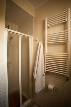 Shower, hair dryer, bidet, towels