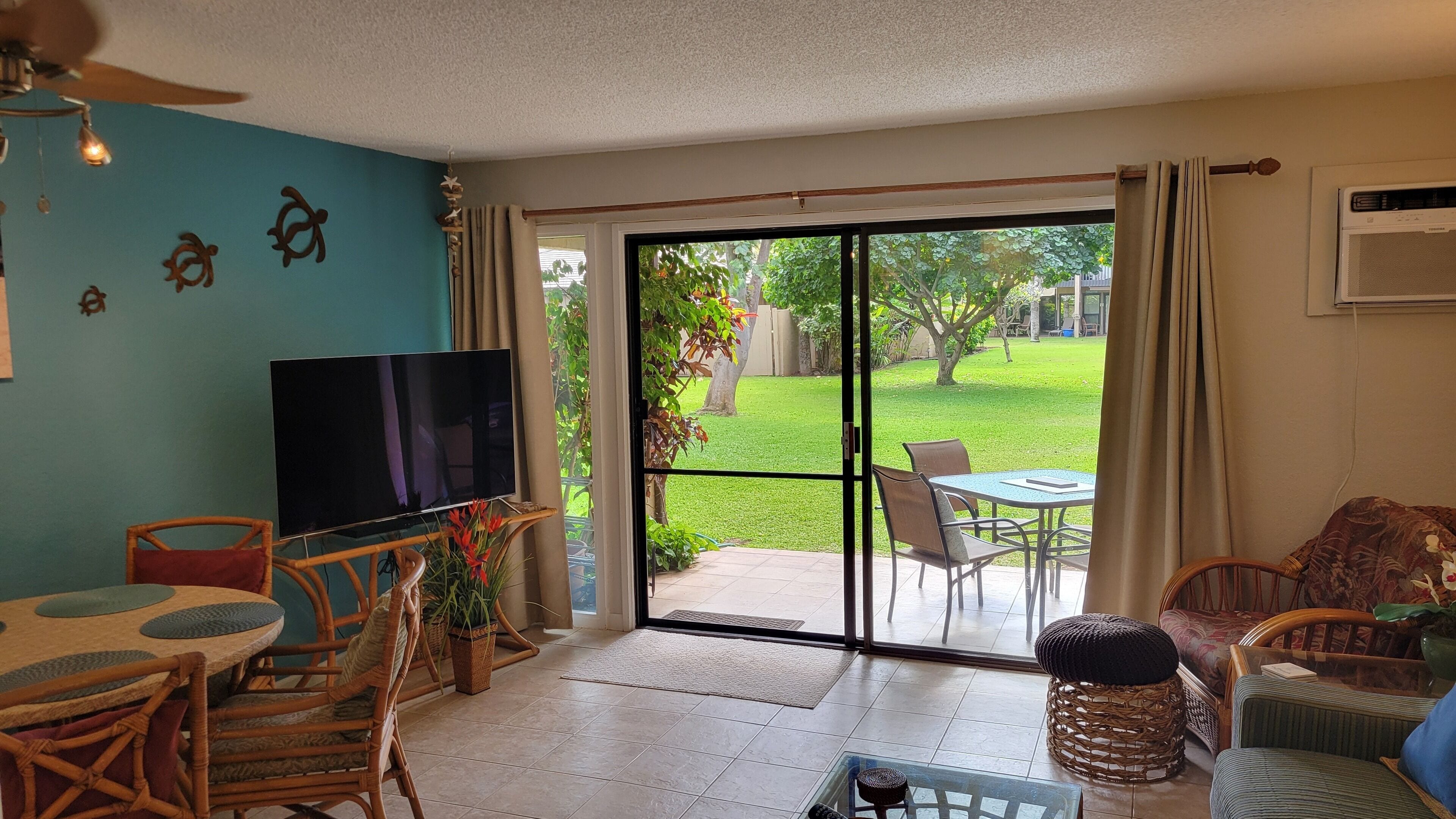 Smart TV, DVD player, books