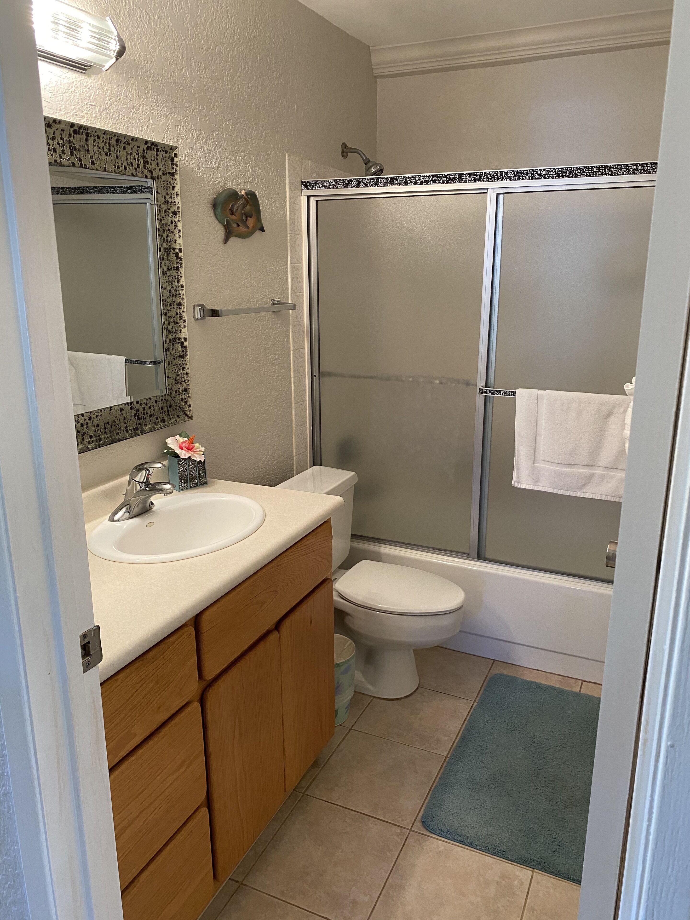 Combined shower/tub, hair dryer, towels, soap