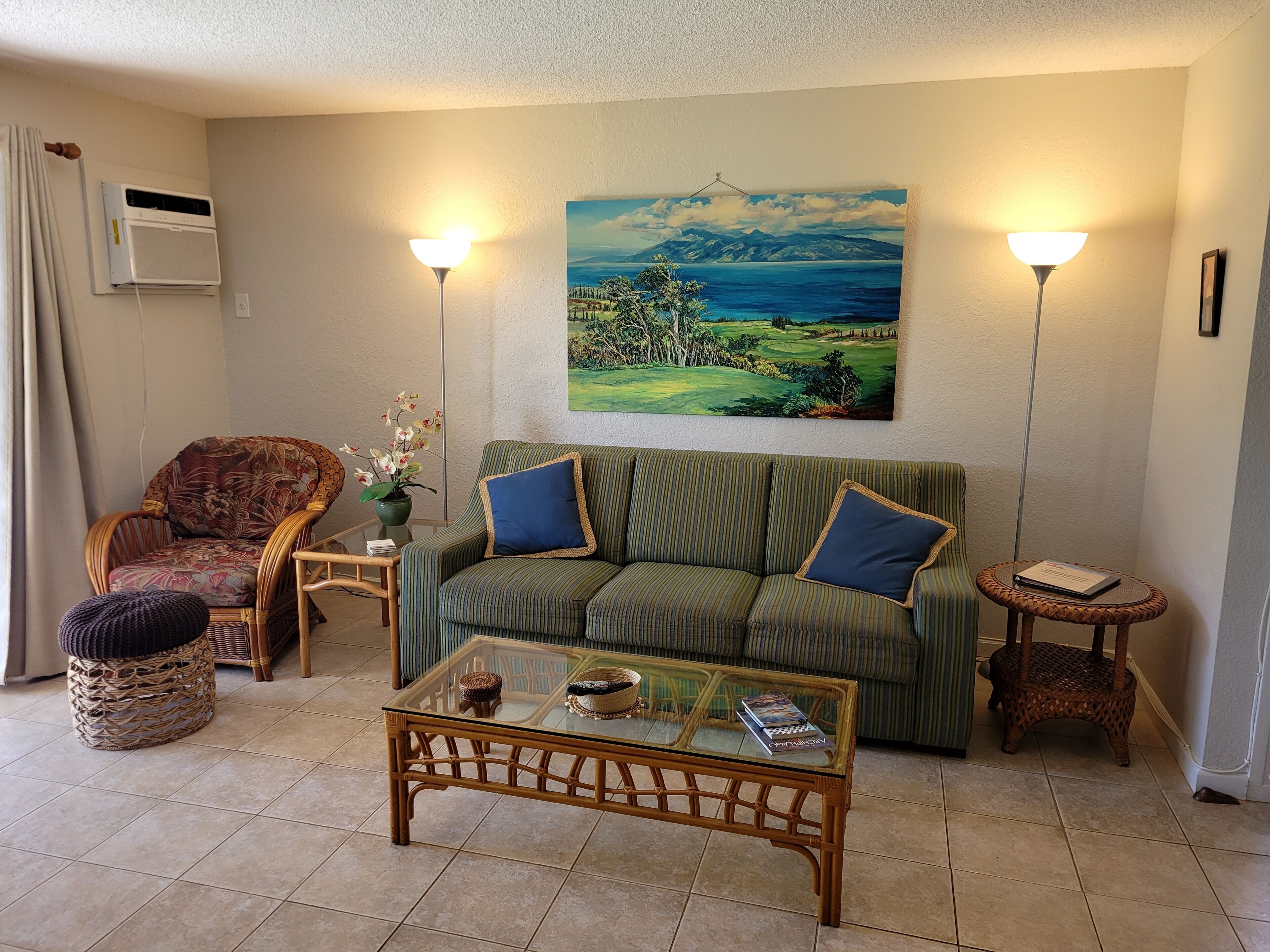 Smart TV, DVD player, books