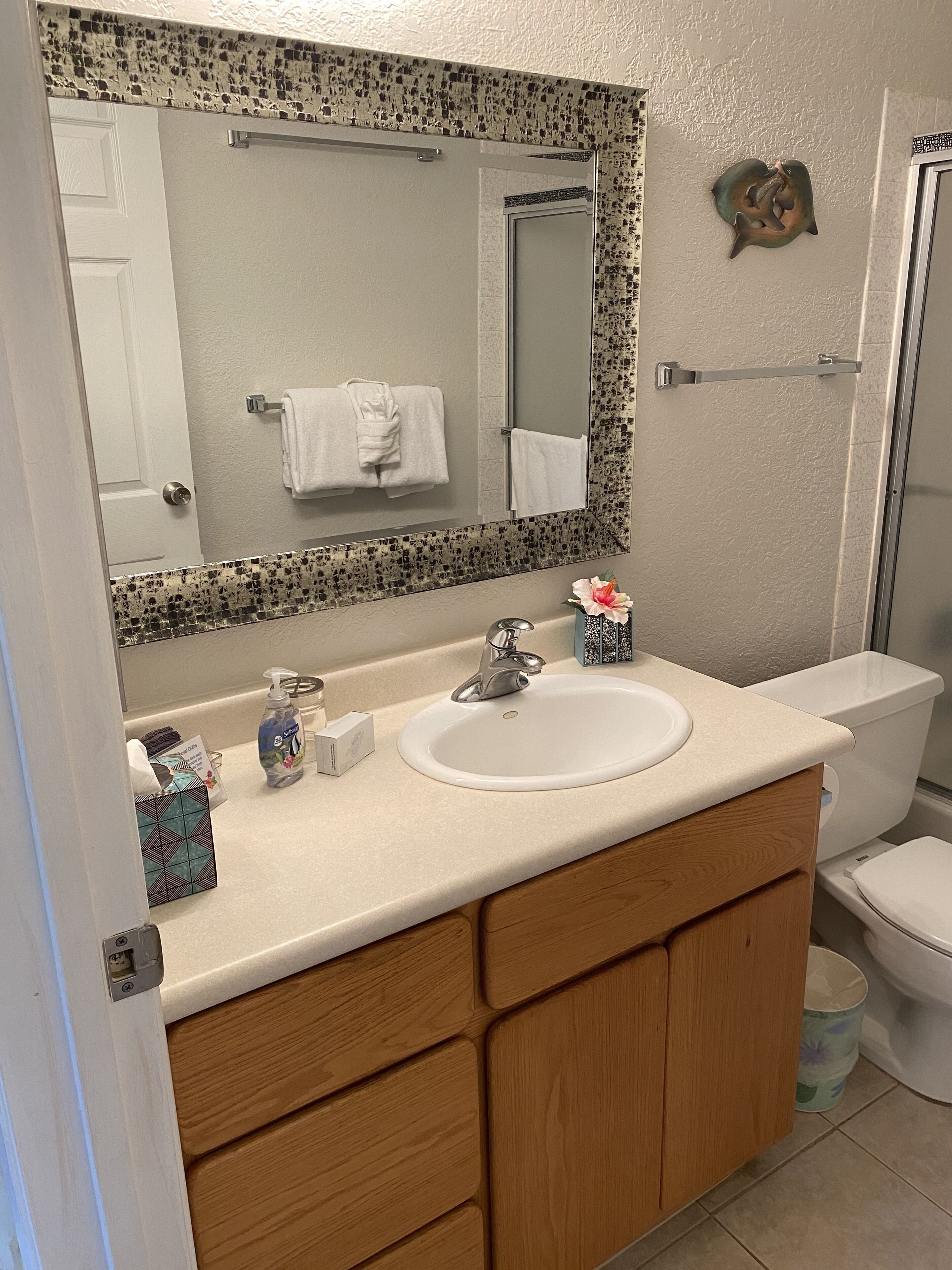 Combined shower/tub, hair dryer, towels, soap