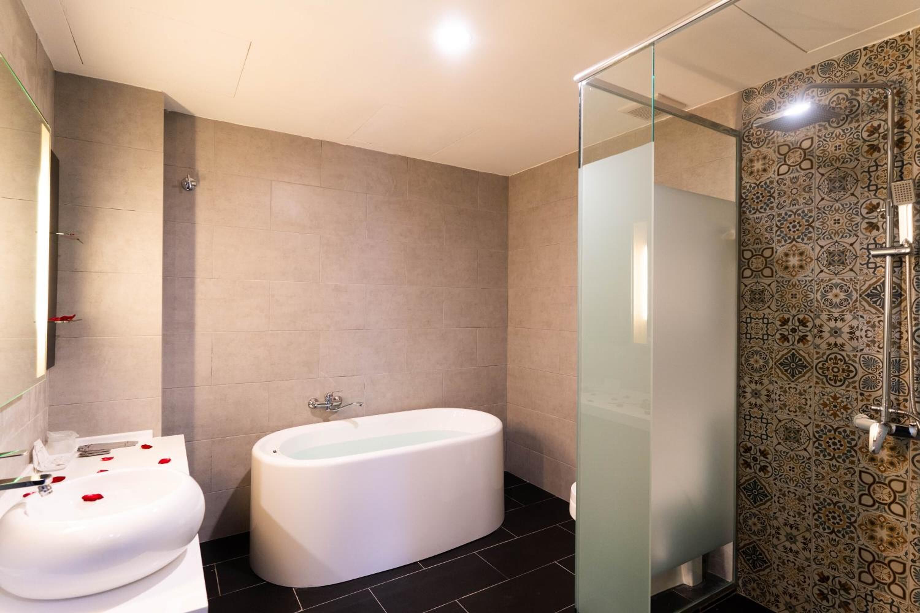 Shower, free toiletries, hair dryer, bidet