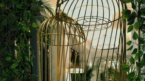Una habitación con un diseño de jaula de pájaros original, un banco acolchado verde y abundante vegetación.