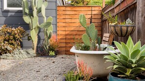 A garden with various cacti and succulents, a wooden fence, and a hanging planter.