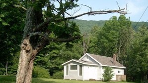 A small white house with a gabled roof, surrounded by lush greenery and trees. - The Cabin at Chichester in the Catskills Mountains (Chichester)