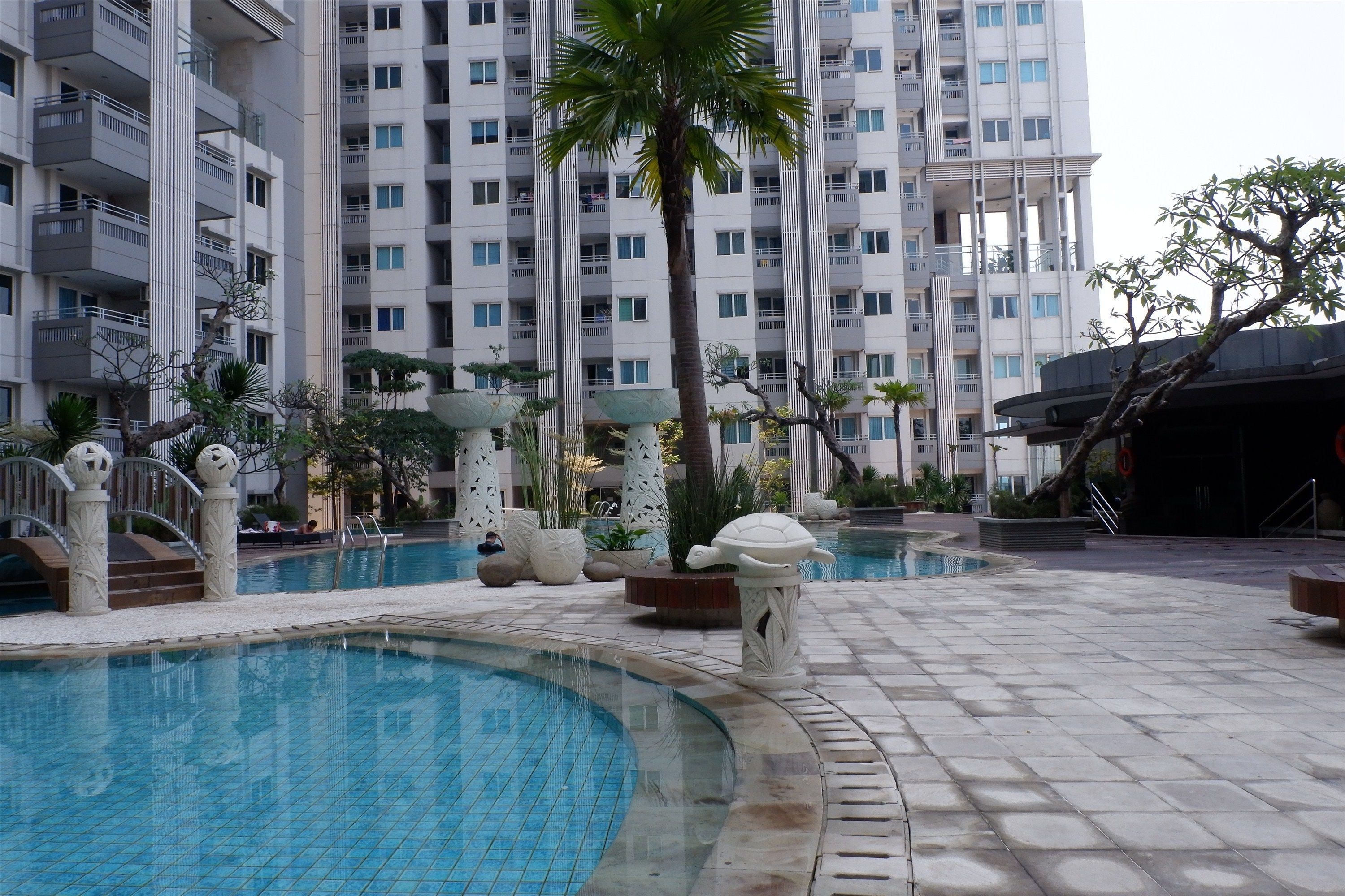 Zona de piscina con una palmera, rodeada por un edificio moderno con balcones.