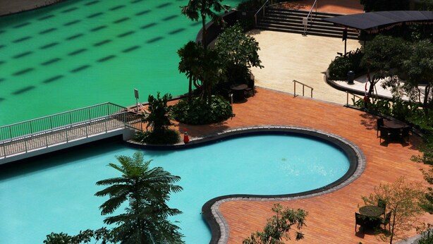 A swimming pool with a wooden deck, surrounded by palm trees and a covered seating area.