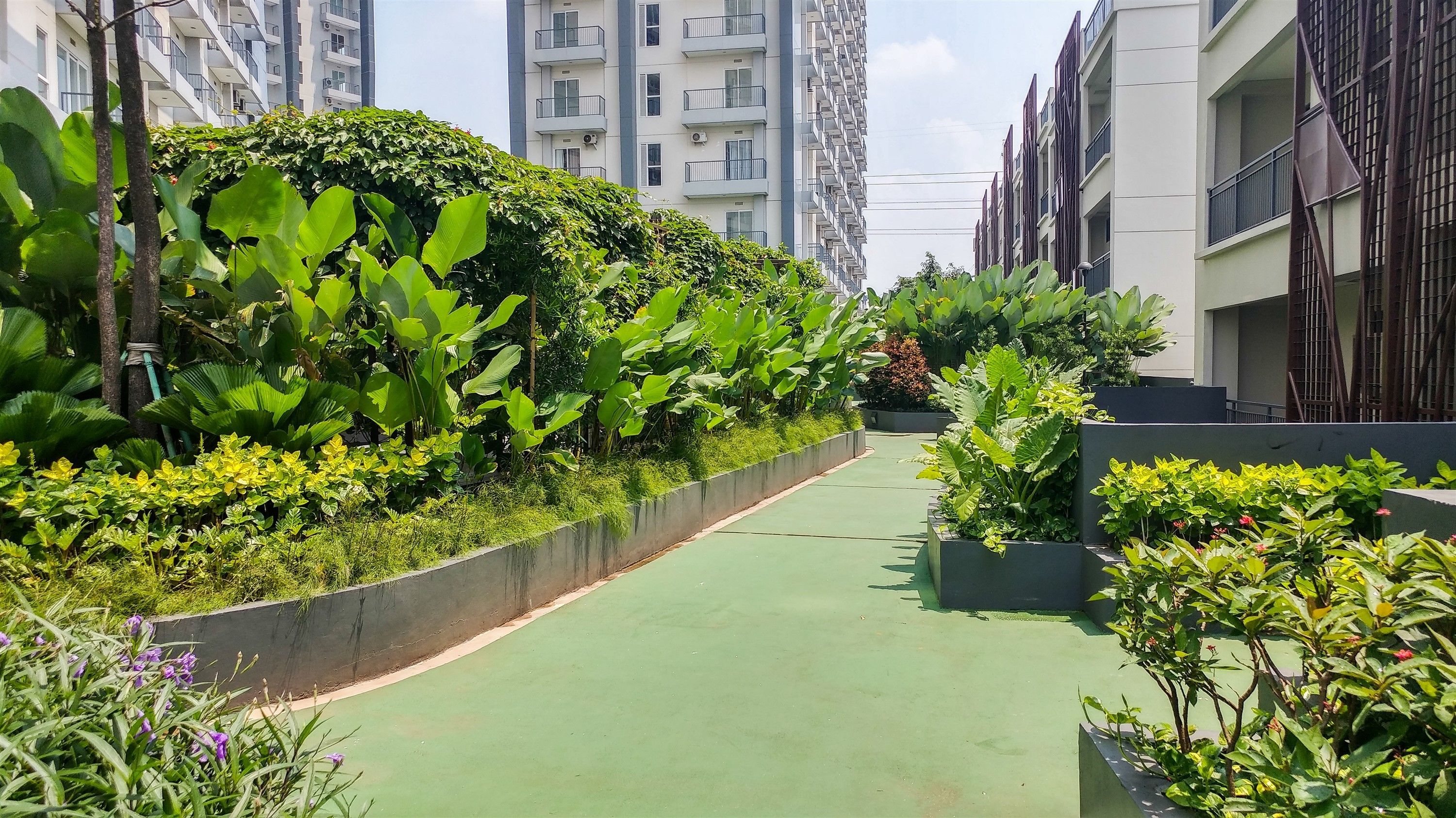 A pathway flanked by lush greenery and modern buildings.