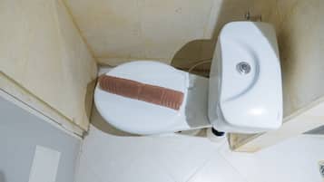 Ducha, toallas, papel higiénico