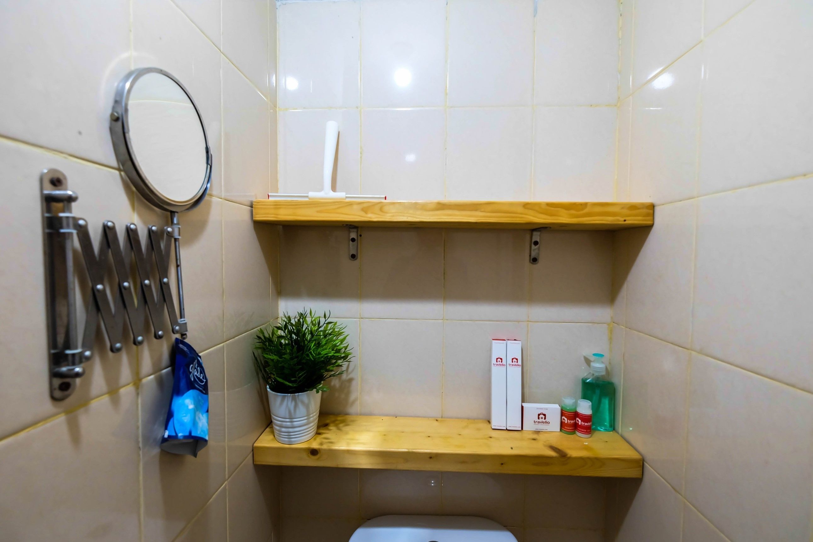 A bathroom with a mirror, a towel rack, a potted plant, and shelves with toiletries.