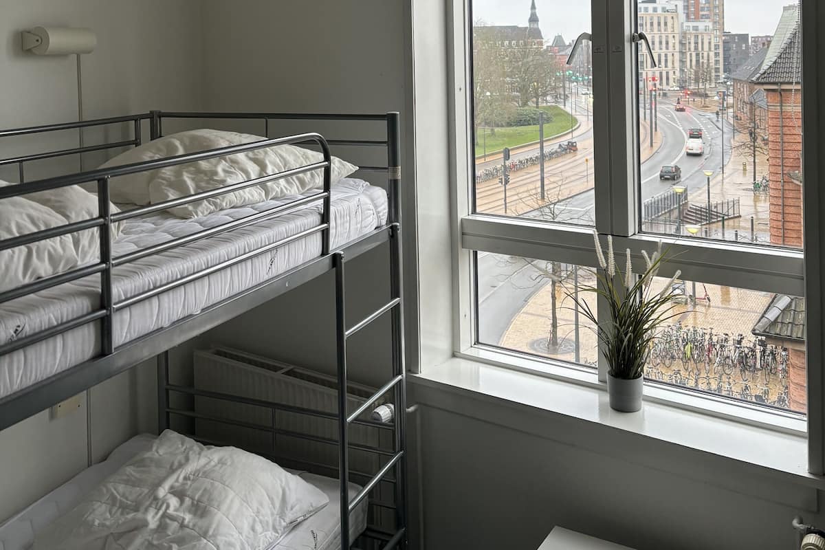 A dormitory room with bunk beds, a window with a view of a cityscape, a radiator, and a potted plant.