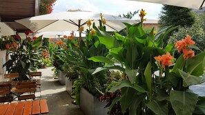 Terrace/patio - Hotel garni Sonnenhof (Moritzburg)