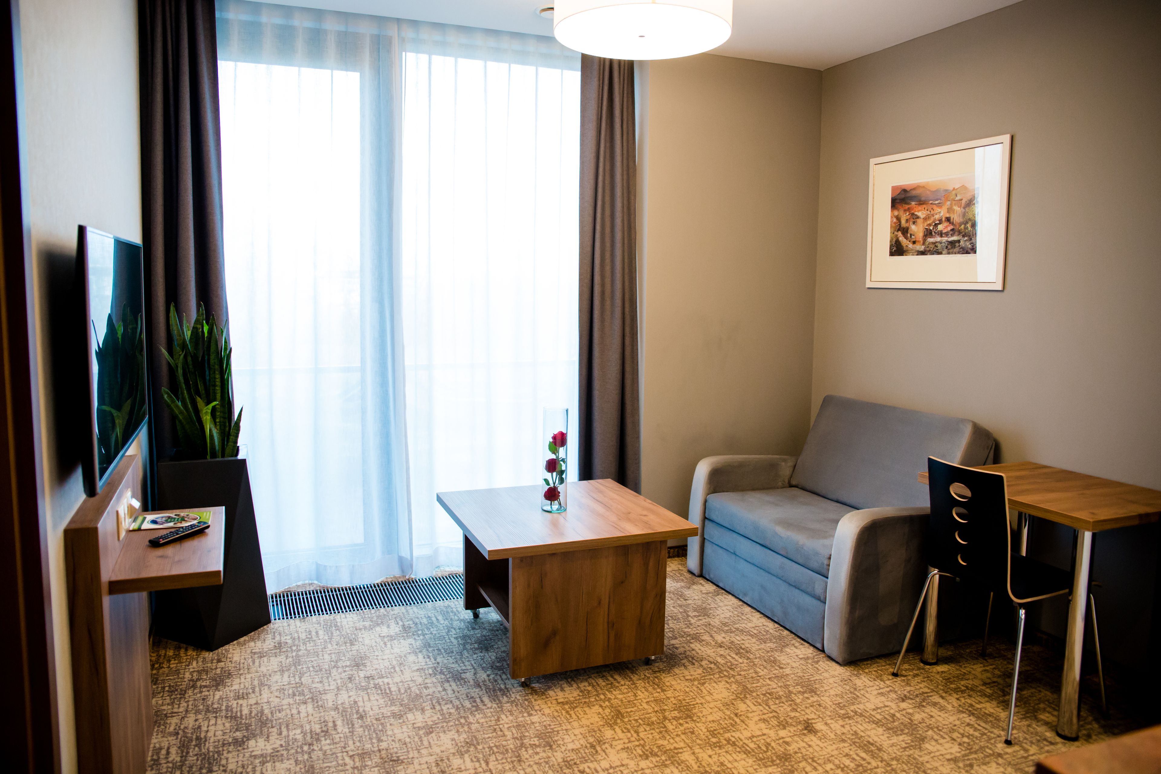 Habitación de hotel con sofá, una pequeña mesa de madera, televisor y una planta en maceta.