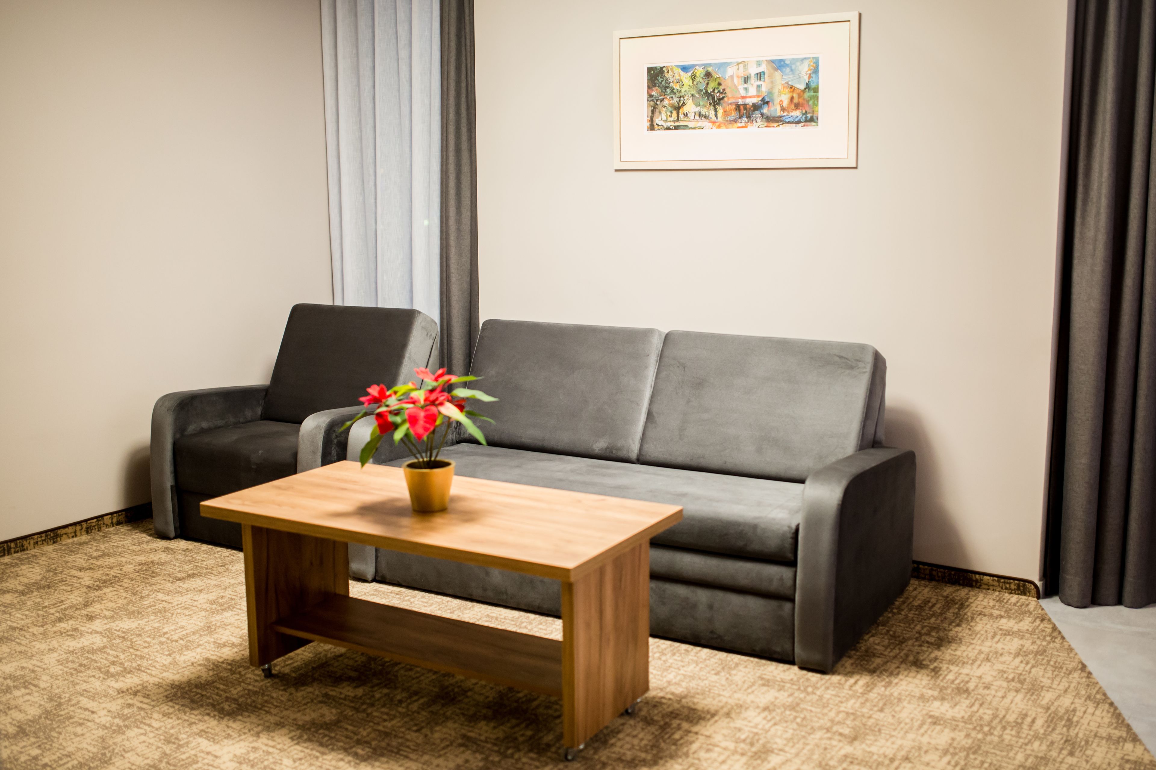 A living room with a grey sofa, a wooden coffee table with a potted plant, and a framed picture on the wall.