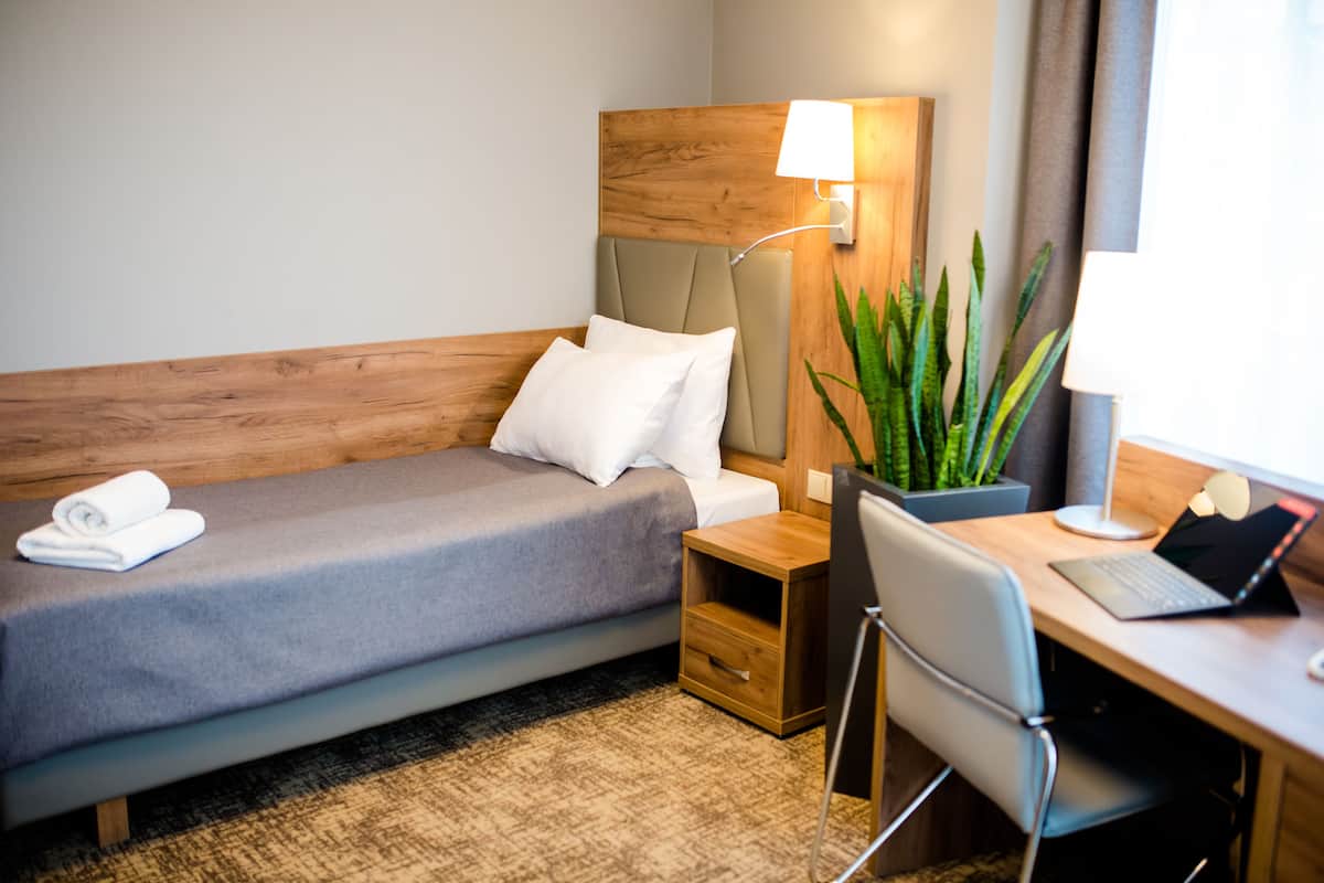 A hotel room with a bed, a desk, a laptop, a lamp, and a potted plant.