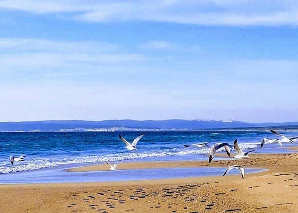 In Strandnähe