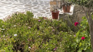 Un edificio blanco con una puerta azul, plantas en macetas y un muro de piedra.