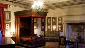 Unclassified image, 3 of 30, button - Chambres d'hôtes - Chateau de Chemery (Chemery)