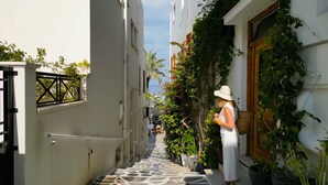 A narrow alleyway with white buildings, potted plants, and a wooden door. - AmazeU Naxos (Naxos)