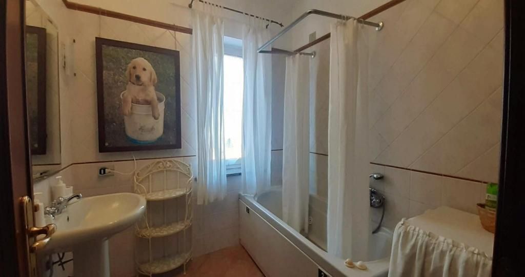 Un bany amb un lavabo, una dutxa i un vàter. Hi ha un quadre amb un gosset a la paret.