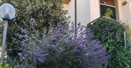 Exterior. Fabiola Bed & Breakfast