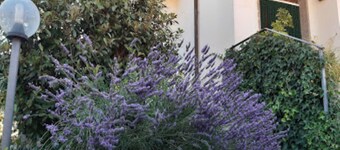 Fabiola Bed & Breakfast