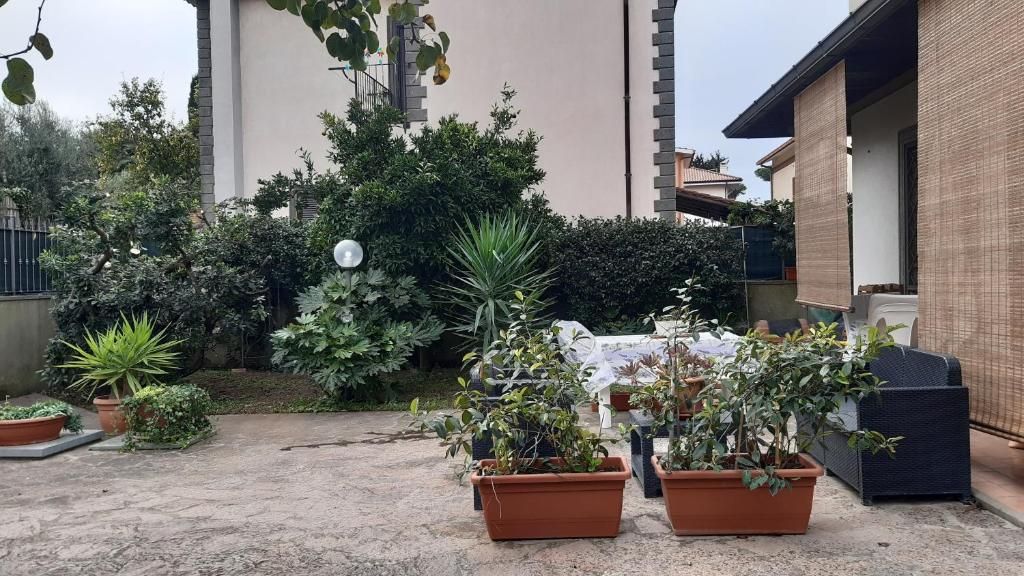A courtyard with potted plants, a table, and a chair.