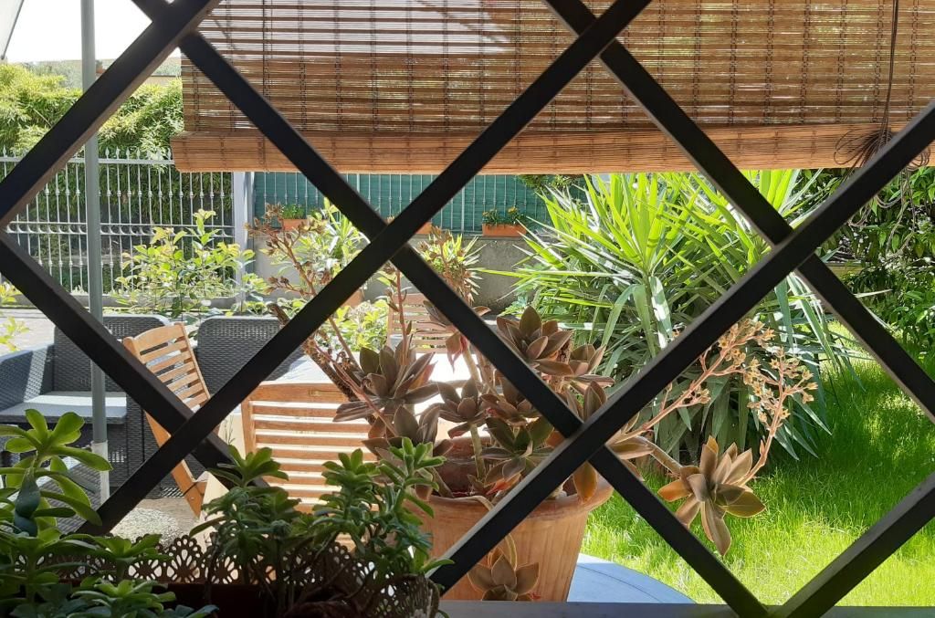 Un espace extérieur aménagé en terrasse, avec une table et des chaises, entouré de plantes en pot et d’un auvent en bambou.