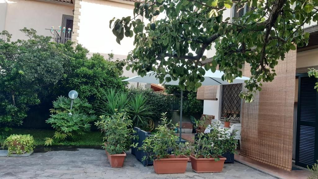 Un cortile con piante in vaso, un pergolato e un edificio con tetto in tegole.