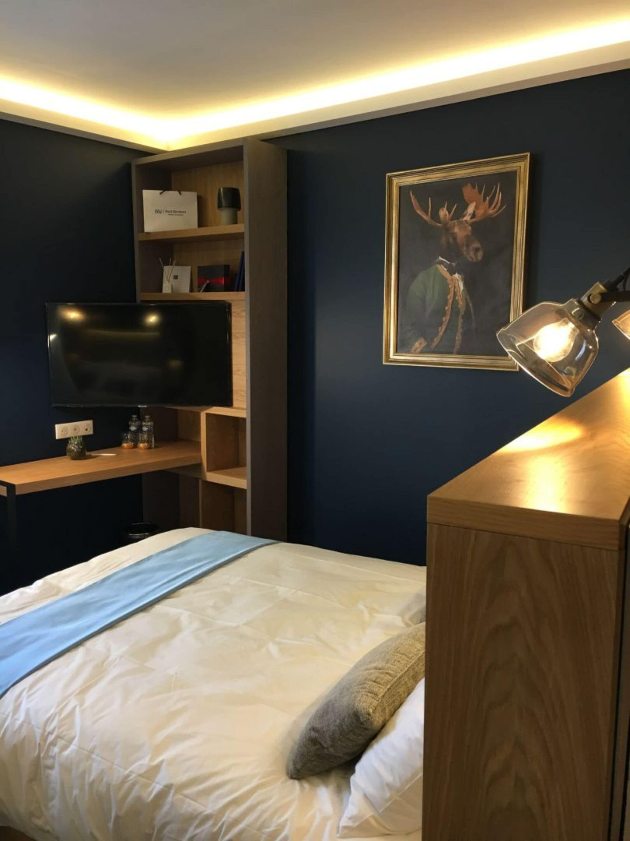 A bedroom with a bed, a desk with a computer, a television, a shelf with items, and a framed picture on the wall.