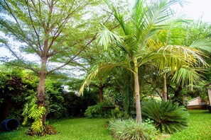 A lush garden with various tropical plants and trees. - Lush Gardens Apartment 1 (Lusaka)
