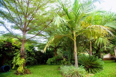 Lush Gardens Apartment 1