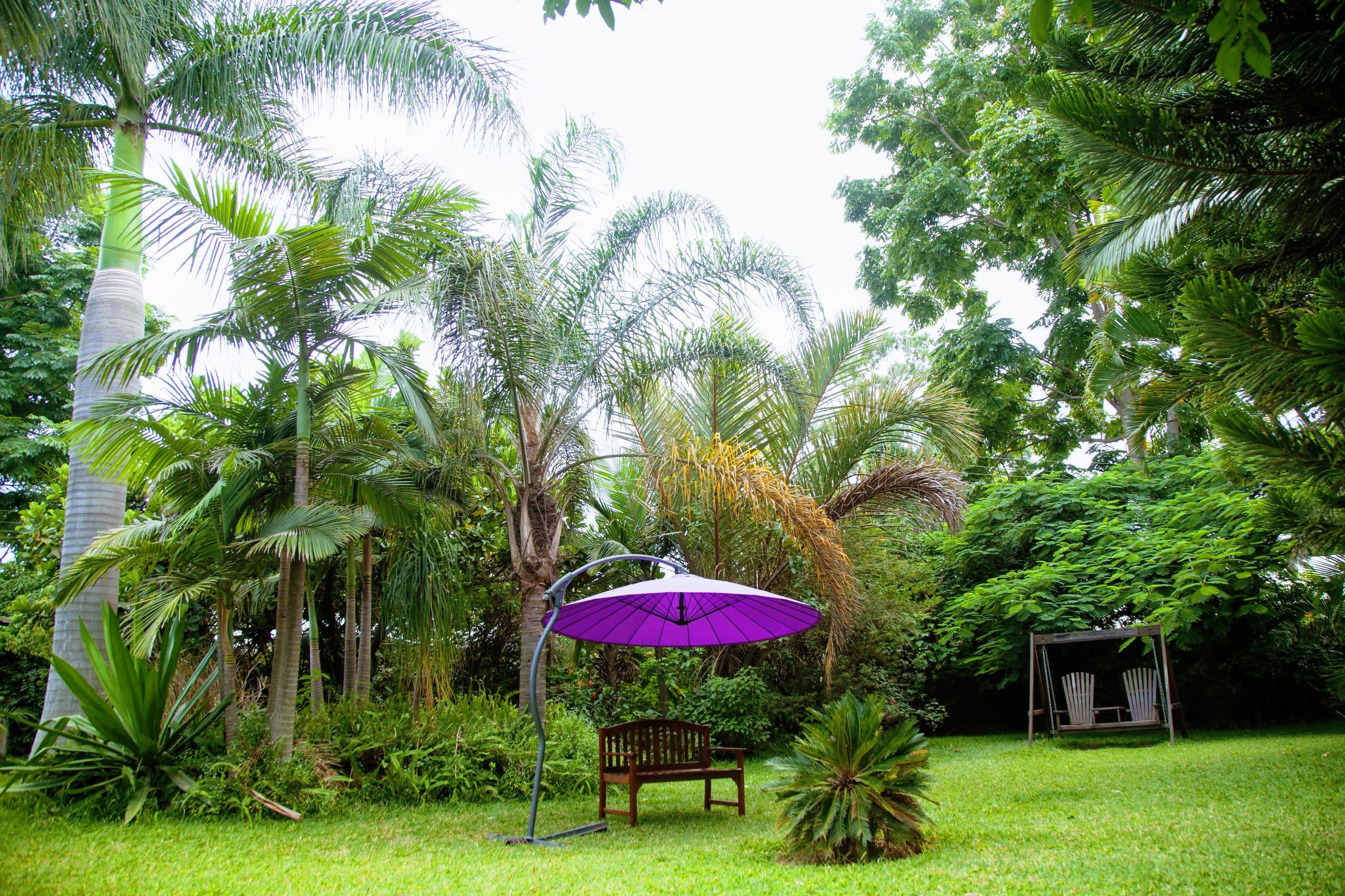 A garden with a swing set, a bench, and a purple umbrella.
