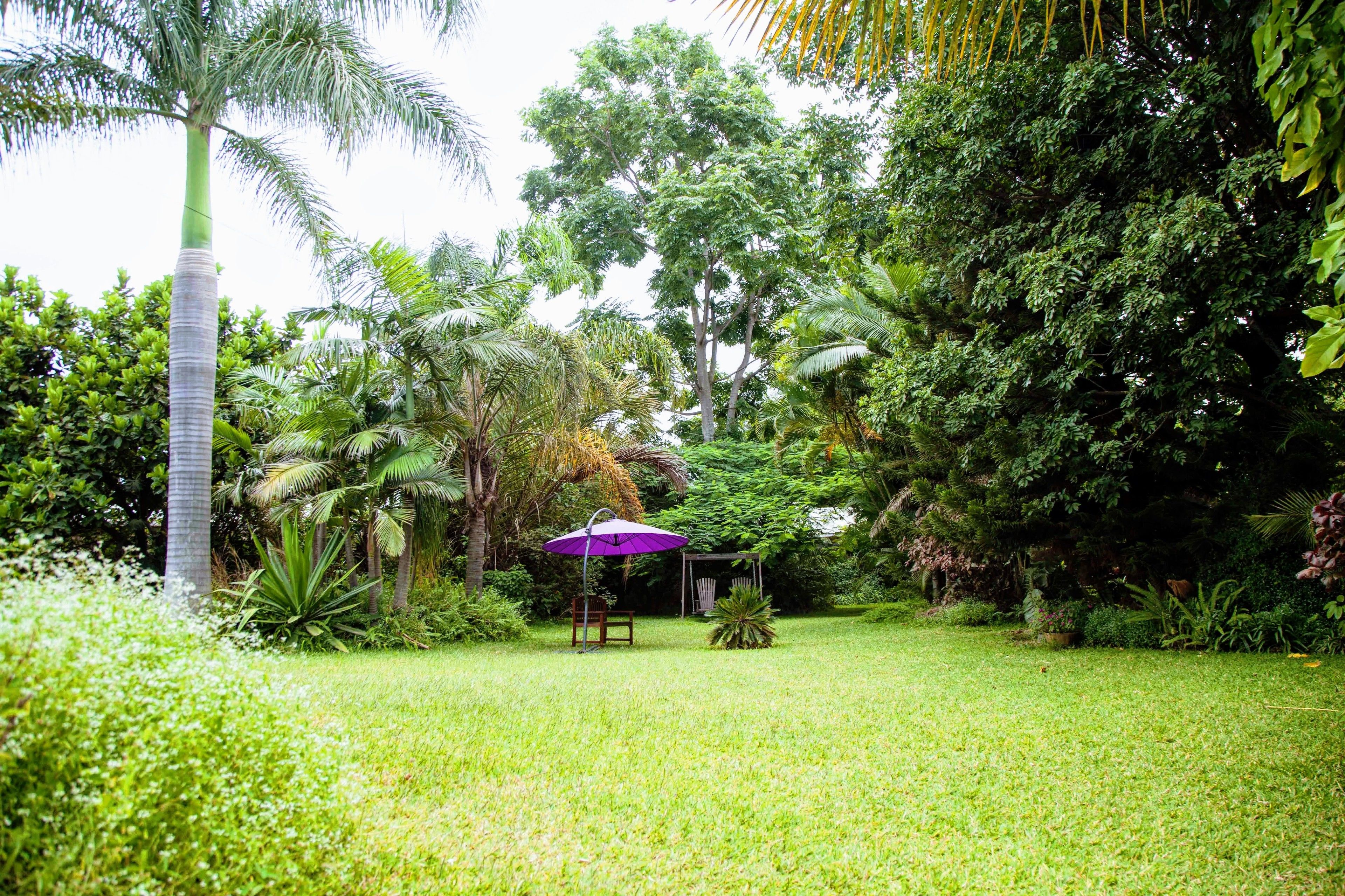 A lush garden with a variety of trees and plants, a wooden bench, and a purple umbrella.