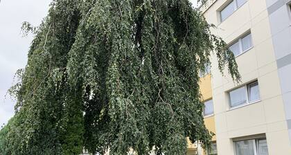 Airport Apartment Köln/Bonn