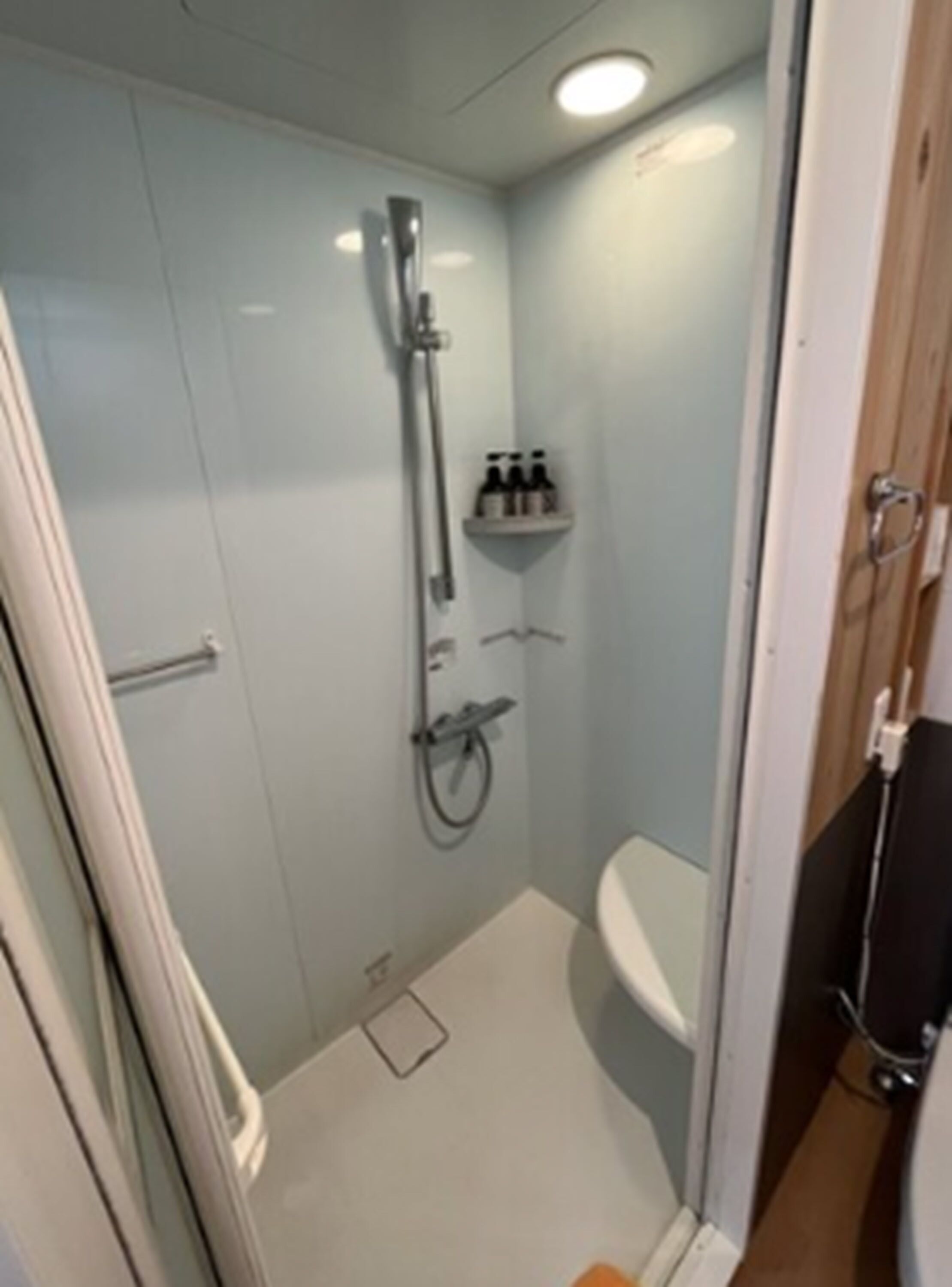 A small, enclosed shower area with a glass door, a toilet, and a shelf with toiletries.