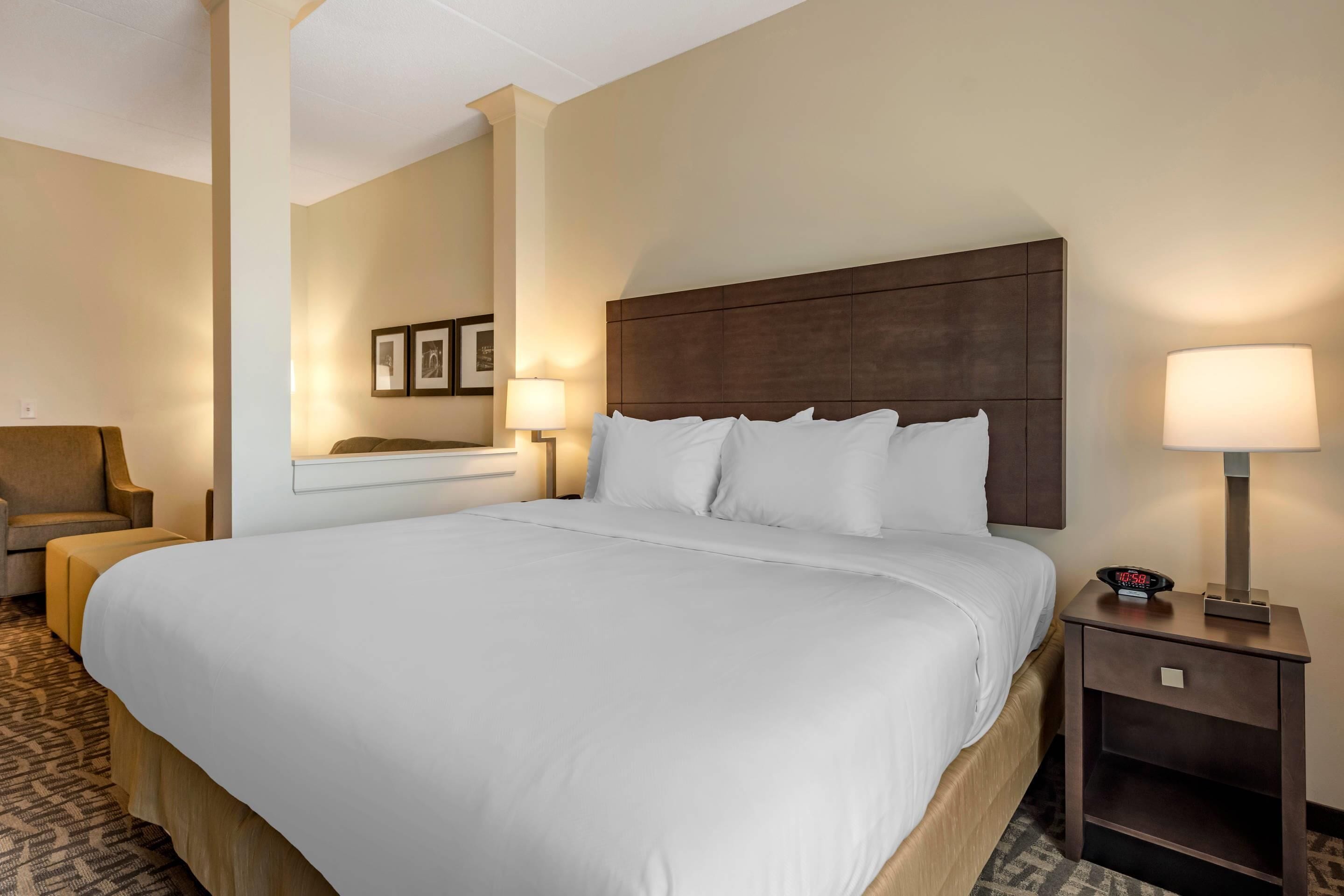 Photo - Comfort Inn & Suites Pittsburgh-Northshore