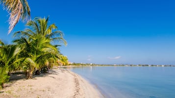 Am Strand