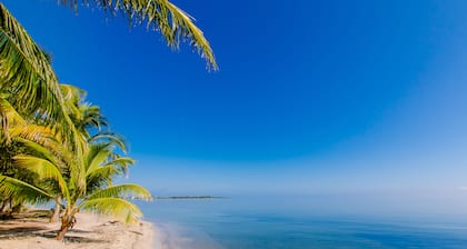 The Great Escape in Belize's Best Tourist Destinations!!