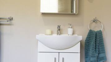 A bathroom with a white sink, mirror, and towel ring.
