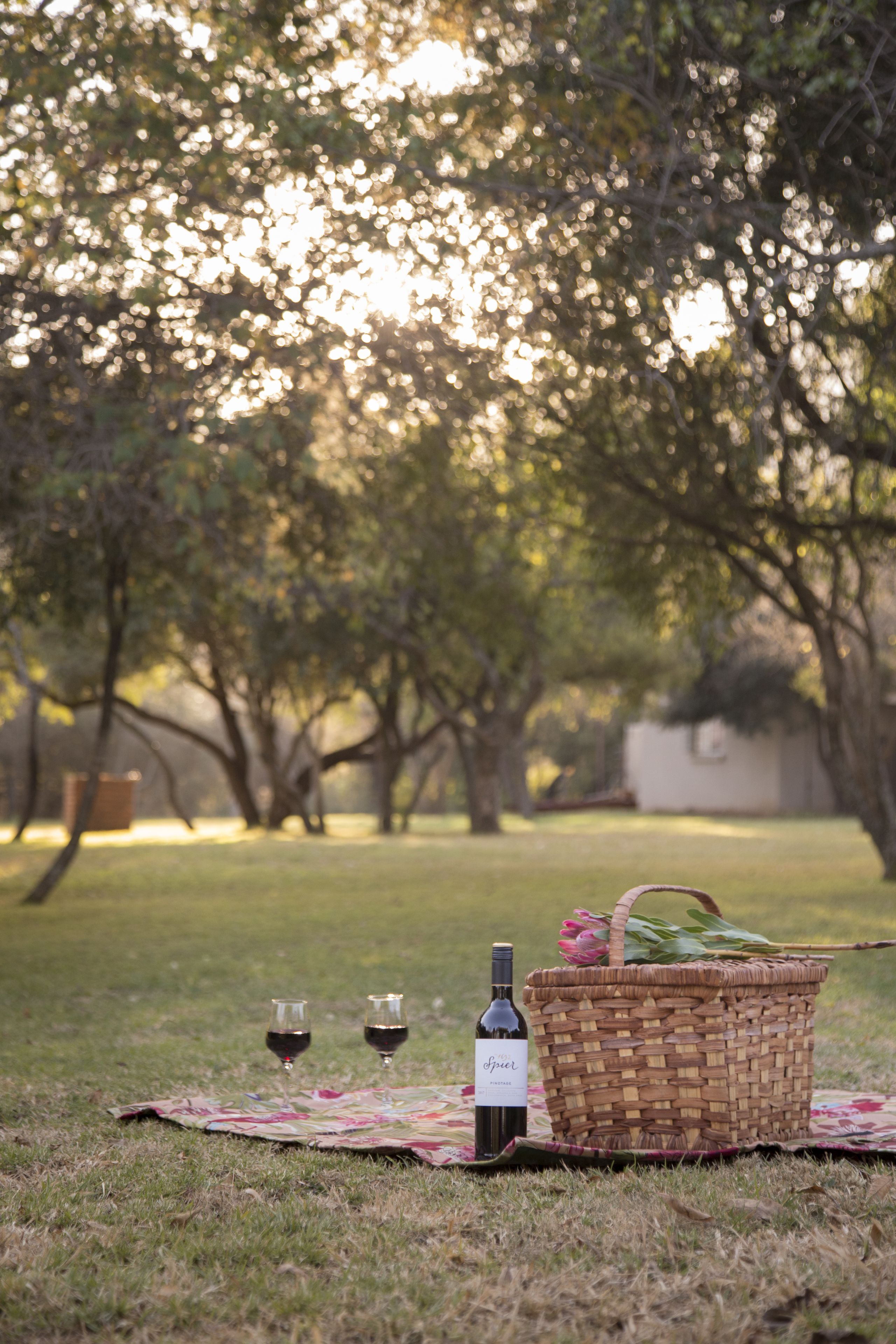 Une scène de pique-nique avec un panier, une bouteille de vin et des verres disposés sur une couverture dans un parc.