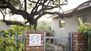 Ein begrenzter Eingang zum Modjadji Cottage mit einem Schild, einem großen Baum und einem Weg, der zu einem Gebäude führt.